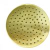REMER  TUŠ RUŽA 359MM F20 BRUSHED GOLD