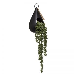 BILJKA VISEĆA BULB TROPI 50CM