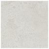 TERAZO STONE COLD 60X60   0.7m2