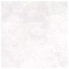 AIN BIANCO N/OUT 60X60 