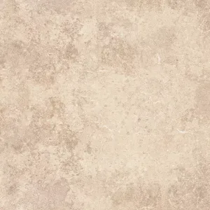 AIN ARENA IN/OUT 60X60   1.44m2