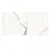MAXI WHITE 30X60   1.62m2