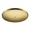 Hansgrohe TUŠ RUŽA CROMA 280 GOLD