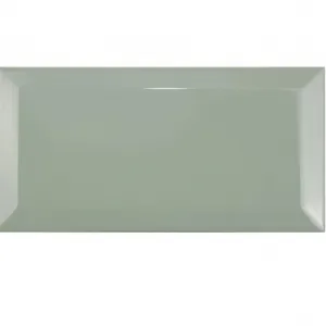 BISELADO DUCK EGG 10x20