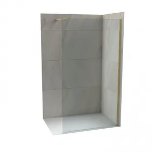 PARAVAN WALK-IN 100 BRUSH.GOLD